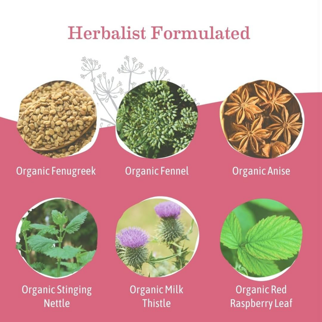 Earth mama milkmaid tea